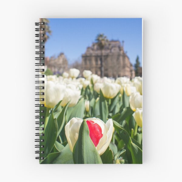 Item preview, Tulips designed and sold by Joel Bramley.