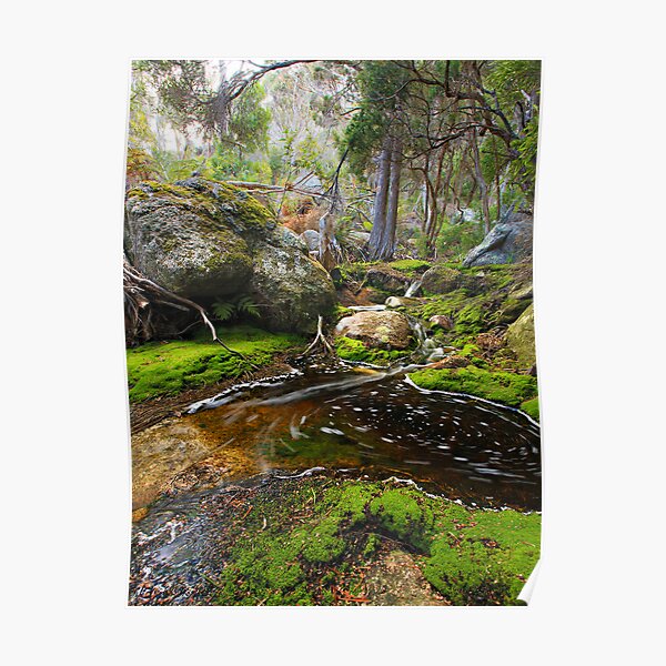 Rockpool - Flinders Island Poster