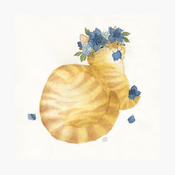 Flower Cat - Yellow Striped With Blue Photographic Print