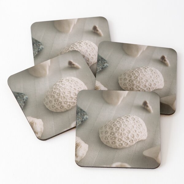 Item preview, Shell designed and sold by Nics-Photos.