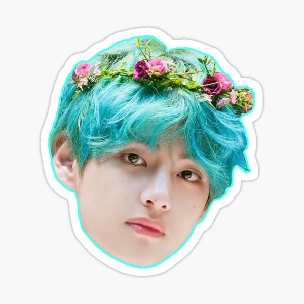 Bts V Head Stickers | Redbubble