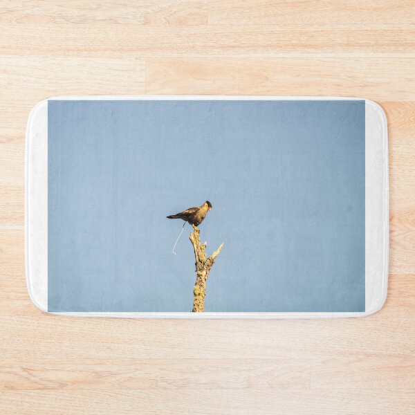 Item preview, ibs carcara eagle designed and sold by pcfyi.