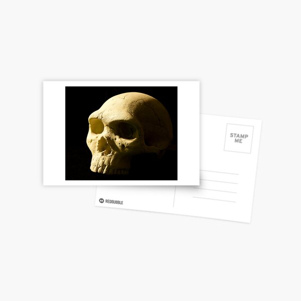 Alas, poor Yorick Postcard