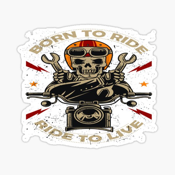 ADESIVO STICKERS VESPA Piaggio Px Skull Teschio Santa Muerte Tuning Auto  Moto EUR 4,50 - PicClick IT