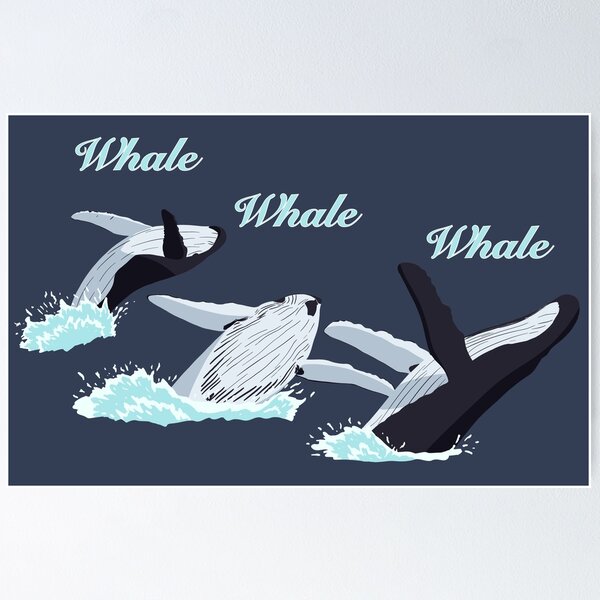 ORCA, Whale Breaching, Pencil Drawing, Wildlife, Marine Life, Ocean Poster  for Sale by Joyce Geleynse