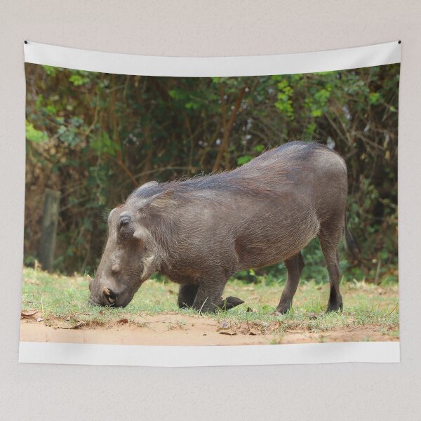 Item preview, African warthog designed and sold by FranWest.