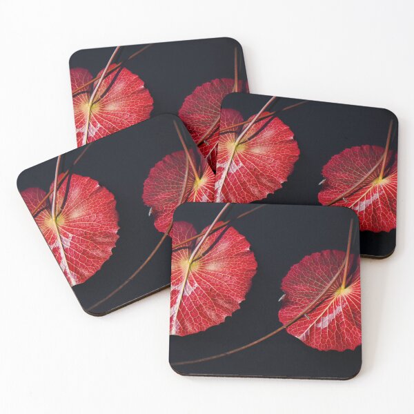 Item preview, Nymphaea Scarlet Flame Lily Pad Leaves designed and sold by Chee Sim.