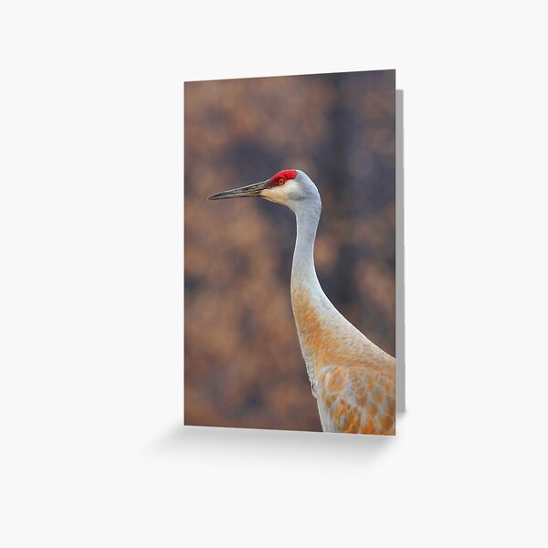 Item preview, Sandhill Crane Portrait designed and sold by Renee Blake.