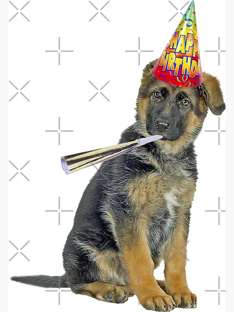 German Shepherd Birthday Greeting Card By Cafepretzel Redbubble