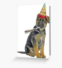 Tarjeta de felicitación German Shepherd Birthday