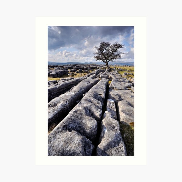 The Yorkshire Dales - Limestone Country Art Print