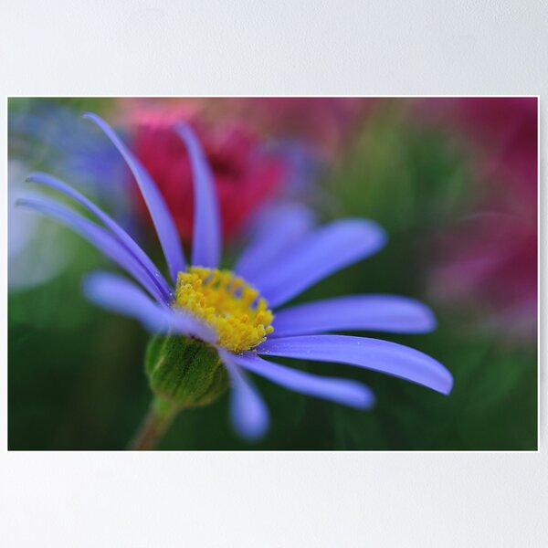Item preview, Fl 8599 designed and sold by jimmylu.