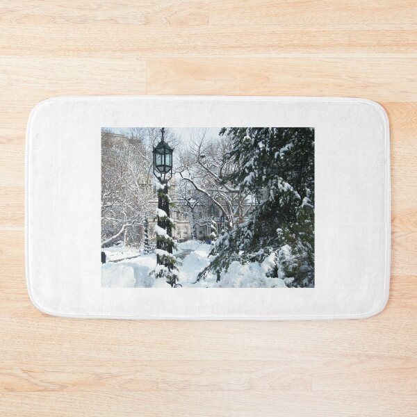 Item preview, City Hall Park in Snow, New York designed and sold by lenspiro.