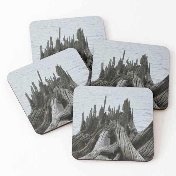 Item preview, Driftwood Stump in Moxie Lake, Maine designed and sold by MaryinMaine.