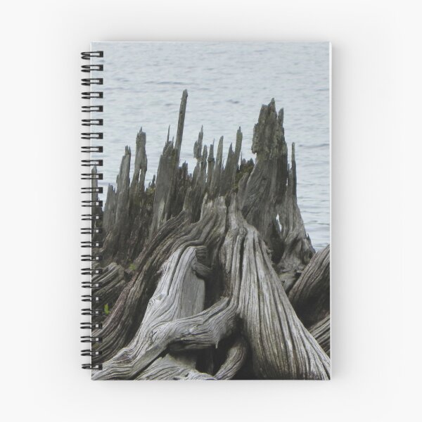 Item preview, Driftwood Stump in Moxie Lake, Maine designed and sold by MaryinMaine.