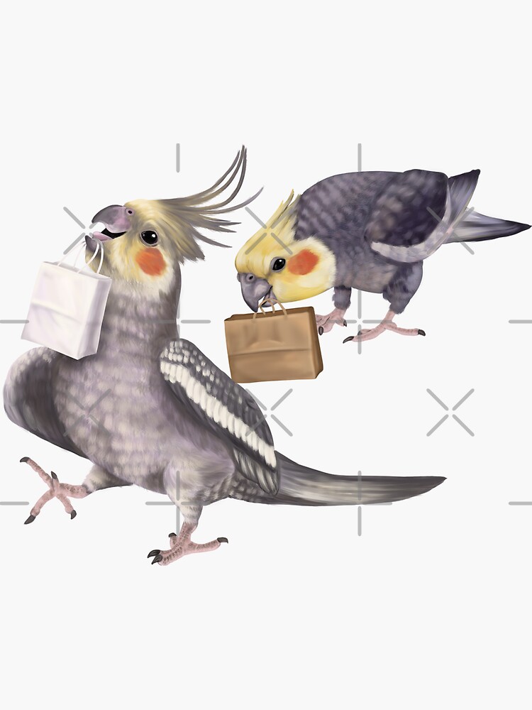 Cockatiel bird outlet online shopping