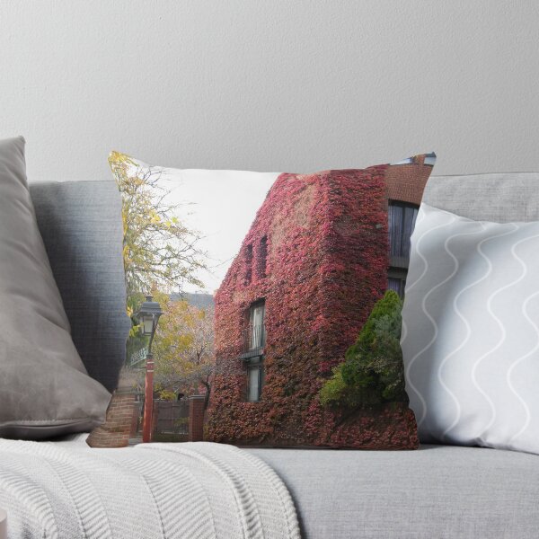Item preview, Society Hill, Philadelphia, Fall Colors designed and sold by lenspiro.