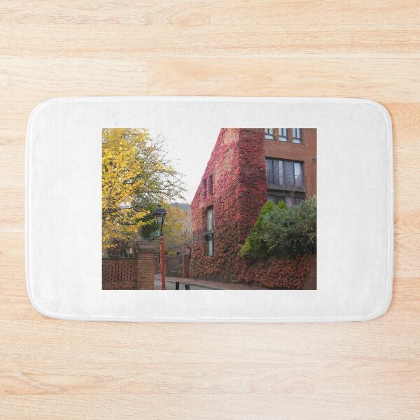 Artikelvorschau, Society Hill, Philadelphia, Herbstfarben entworfen und verkauft von lenspiro.