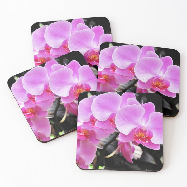 Arch Of Orchids Coasters (Set of 4)