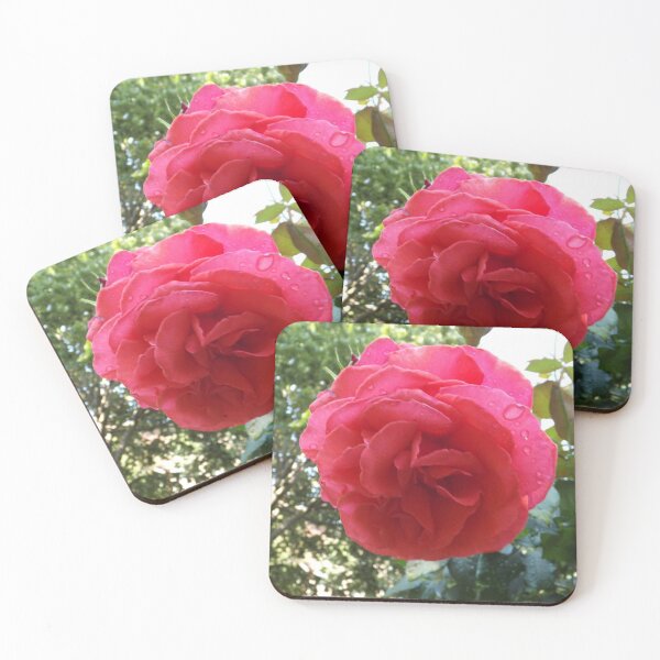 Item preview, Flower Close-Up,  Van Vorst Park, Jersey City, New Jersey designed and sold by lenspiro.