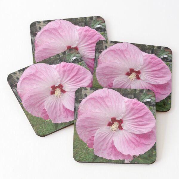 Item preview, Flower Close-Up, Jersey City, New Jersey designed and sold by lenspiro.
