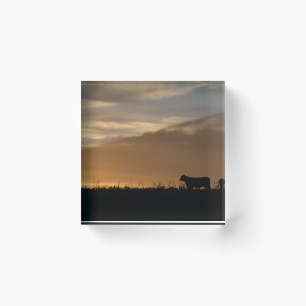 Item preview, Last cow heading home designed and sold by Clare Colins.