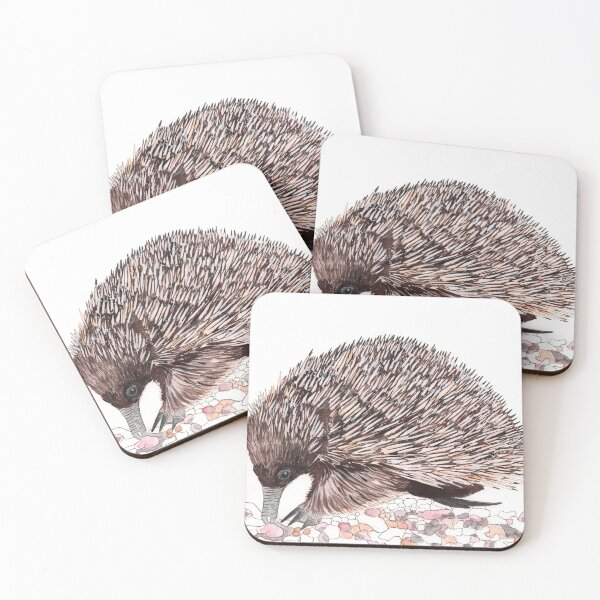 Echidna Australian Fauna Coasters (Set of 4)