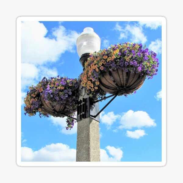 Look Up To See The Beauty All Around You Sticker