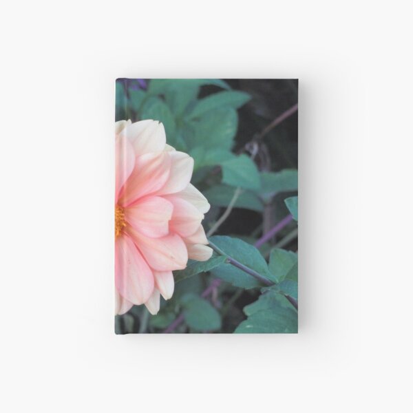 Blooming Blush Pink Dahlia Hardcover Journal