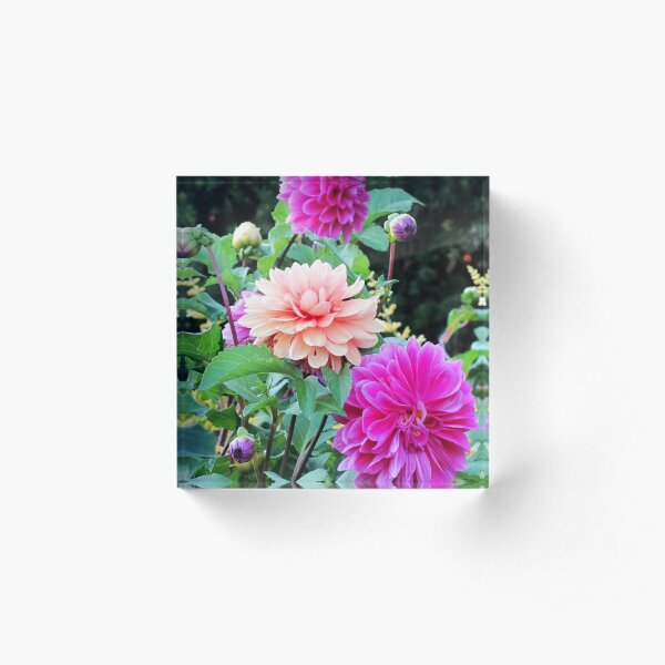 Pretty Pink Garden Acrylic Block
