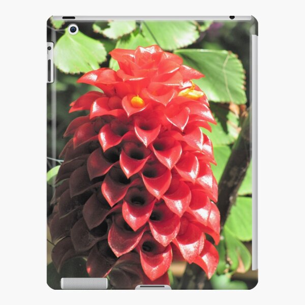 Cute Cone Flowers iPad Snap Case