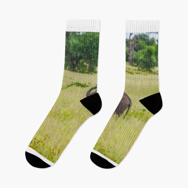 Item preview, Baby African Bush Elephant playing designed and sold by Jensphotos.