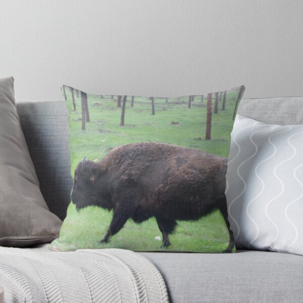 Item preview, American Bison designed and sold by WisePhoto.