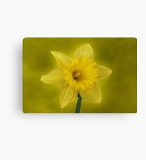 It's Spring! Canvas Print