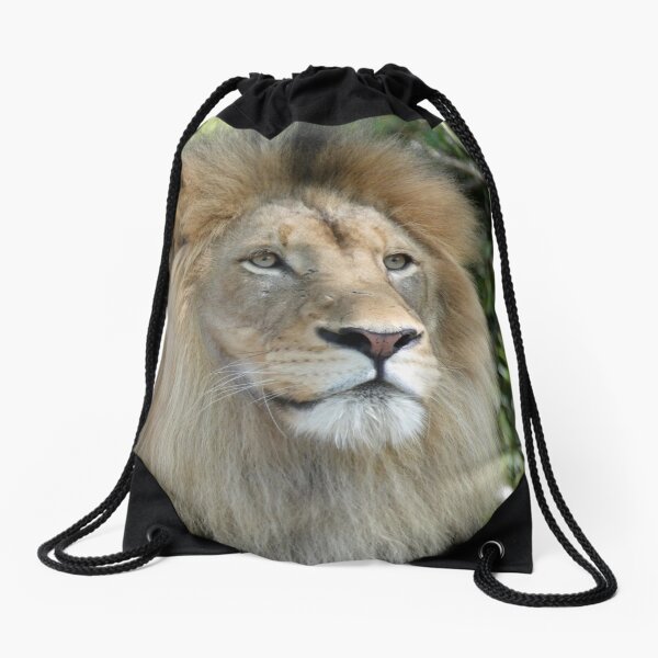 A Distant Lion Drawstring Bag