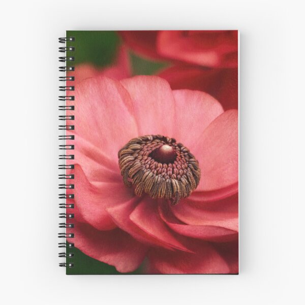 Item preview, " Ranunculus " designed and sold by Malcolm Heberle.
