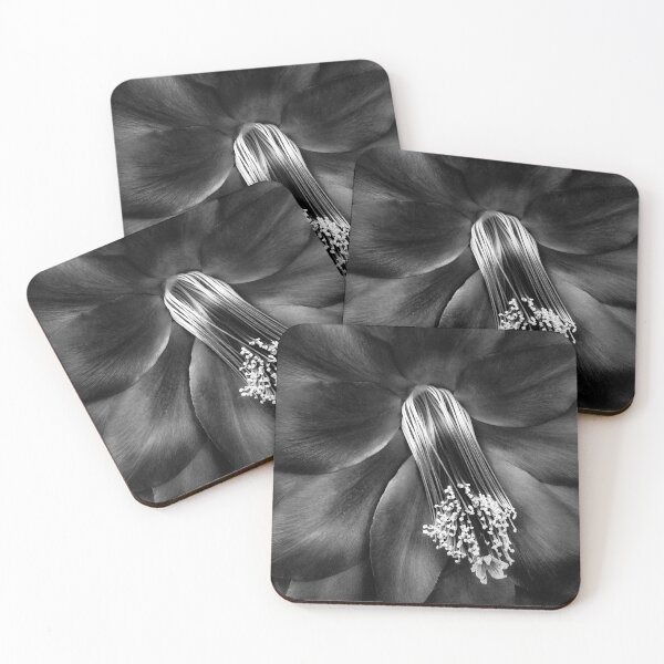 Item preview, Nature in Black and White - Flower Stamen - Photographic Print designed and sold by nickegglington.