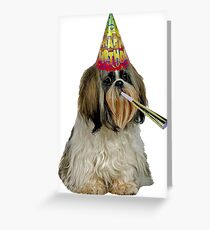Shih Tzu Birthday Greeting Card