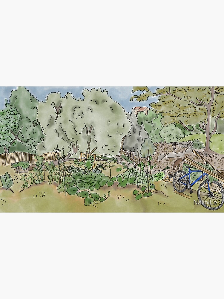 My back yard and vegetable garden by NaliniLe