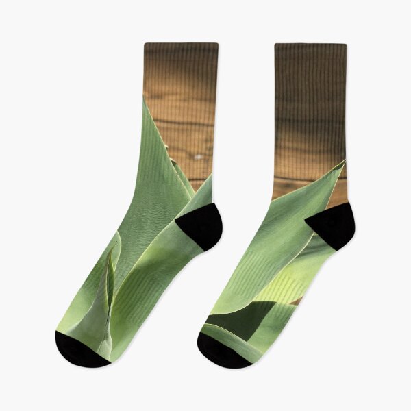 Item preview, Portuguese Agave  designed and sold by umeimages.