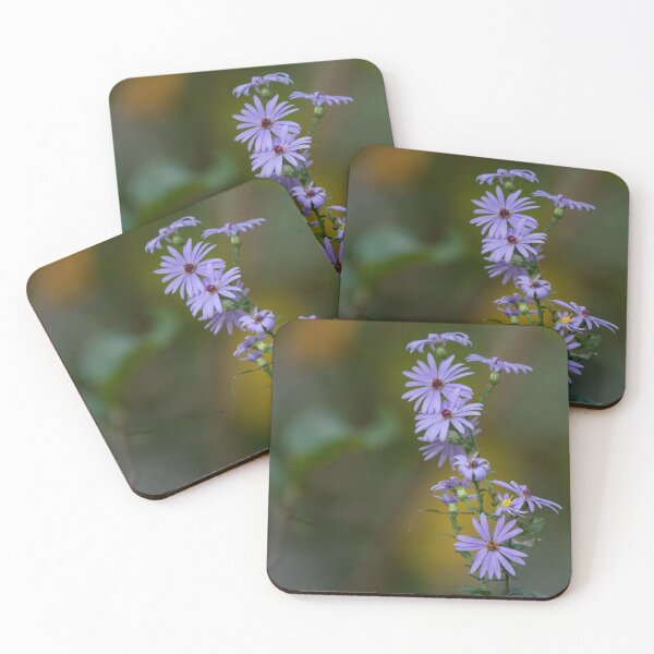 Item preview, American Aster designed and sold by suburbanwilds.