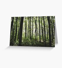Stilts Greeting Card