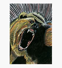 184 - RAW ENERGY (GRIZZLY BEAR) - DAVE EDWARDS - COLOURED PENCILS & GOUACHE - 2007 Photographic Print