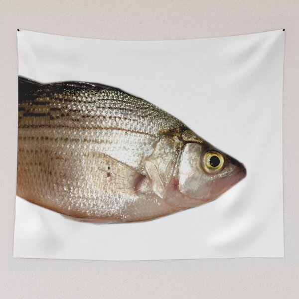 Item preview, Fish head, fish pattern designed and sold by Stephanie  Skeem.