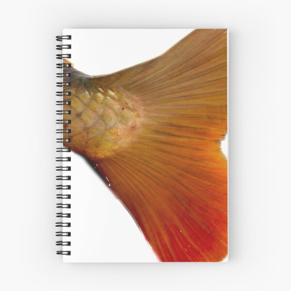 Item preview, Fish fins designed and sold by Stephanie  Skeem.