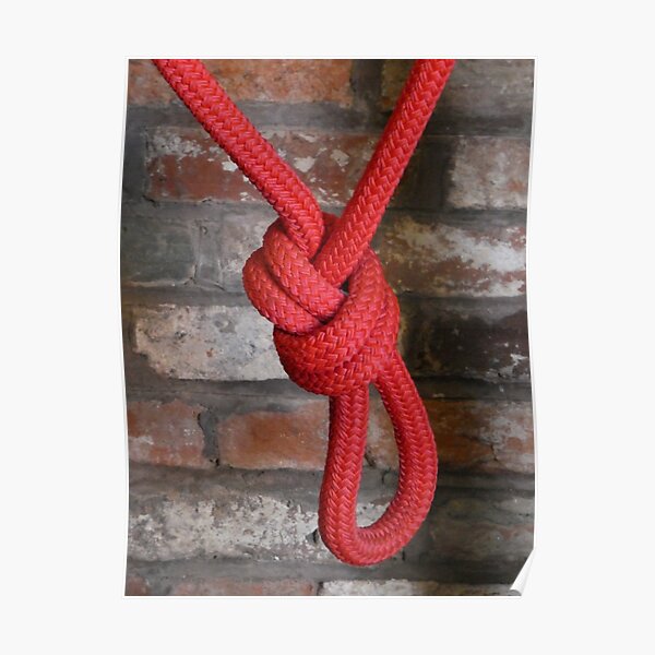 Knotty Knot Poster