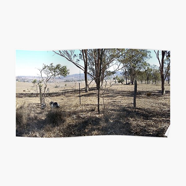 Smoke in the distance from fires in the drought. Warwick QLD 2019 Poster
