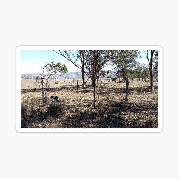 Smoke in the distance from fires in the drought. Warwick QLD 2019 Sticker