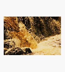 "Tint" Photographic Print