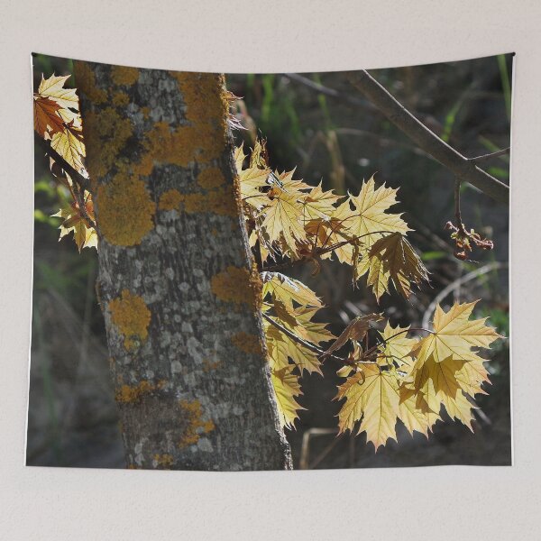 Item preview, Maple in May designed and sold by Bluesrose.